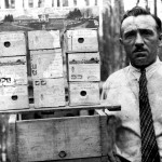1936 - Primeira remessa de rainhas importadas da Itália – Apicultor Antônio Zovaro. Foto: Caixas que foram transportadas, cada uma com 4 quadros, com cera, cria, mel, a Rainha e aproximadamente 300 abelhas. A viagem foi feita de navio e durou 32 dias.