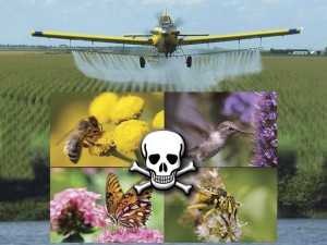 Os projetos de lei PL 405 e PL 406, do Deputado Padre Afonso Lobato do PV, que proíbem a pulverização aérea e os efeitos dos agrotóxicos na apicultura.