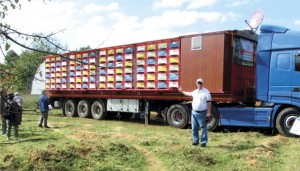 Foto 19 – Caminhão-apiário, veículo adaptado para a instalação de colmeias, contendo 192 colmeias fixas