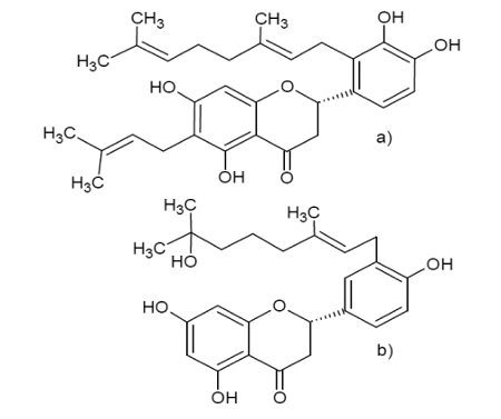 Figura 1. a) Estrutura do prokinawam e b) estrutura do ácido 3-prenil-4-hidroxicinâmico.