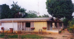 Casa e laboratório do meliponário experimental de Xapuri com colmeias ao seu redor.