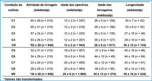 Tabela 1: Atividade de forrageio (número de forrageiras), idade das operárias construindo células de cria (dias), idade das forrageiras e longevidade (dias) das operárias de Scaptotrigona aff. postica, em colônias com rainha fisogástrica (CR; n = 4) e sem rainha (SR; n = 4). dp: desvio padrão. n: número de operárias marcadas visíveis observadas dentro dos ninhos, exceto para atividade de forrageio, em que todas as forrageiras (marcadas e não marcadas) foram observadas e contadas.