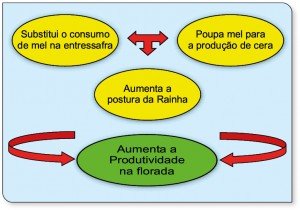 Figura_1_Alimentacao