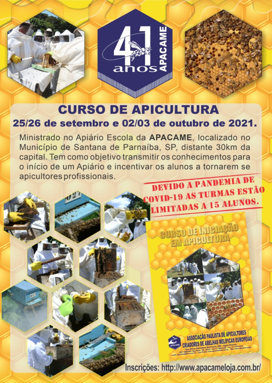 curso-apic-set-out-2021-img-grd