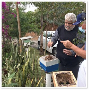 Visitando o apiário escola da APACAME com o diretor Alvaro Chaves de Oliveira, mostrando as abelhas sem ferrão